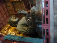 DSC00788.JPG